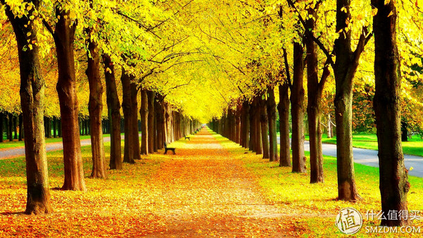 什么是ips硬屏笔记本,ips雾面屏笔记本推荐