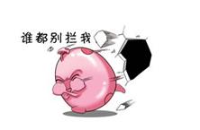 不剁手了，因为要去湛江吃美食了！不要拦我！