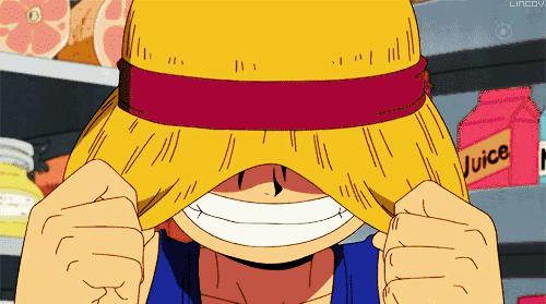 海贼王娜美有多强,娜美属于哪个战队