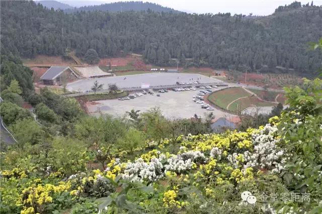 去金堂玉皇山养生谷耍一耍,金堂玉皇山一日游最佳路线