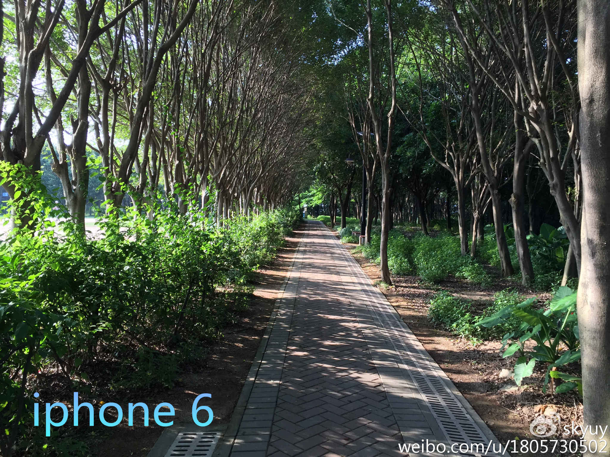 荣耀v8手机测评,荣耀至尊v8平板测评