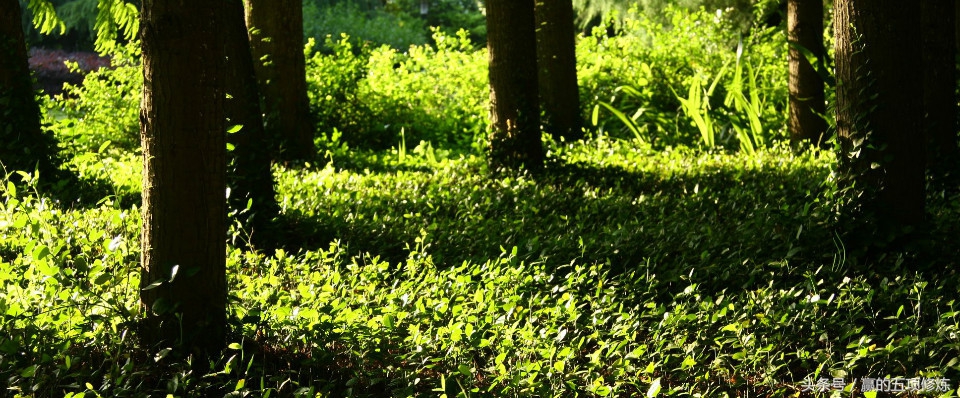 赢在职场必备7个能力,如何培养自己职场竞争力