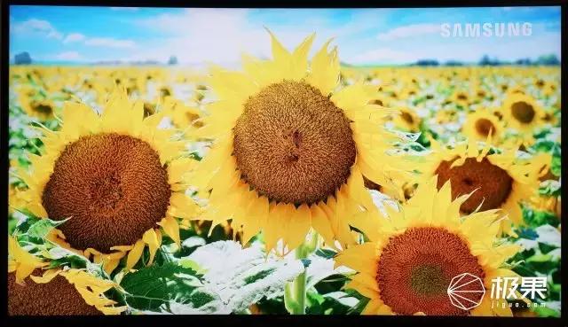 选电视需要看哪些数据,电视选什么样的电视好