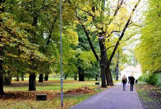 孕期抑郁症的表现和解决方法,孕期抑郁症的表现和症状有哪些