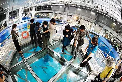 去冲绳有什么讲究,第一次去冲绳有什么好处