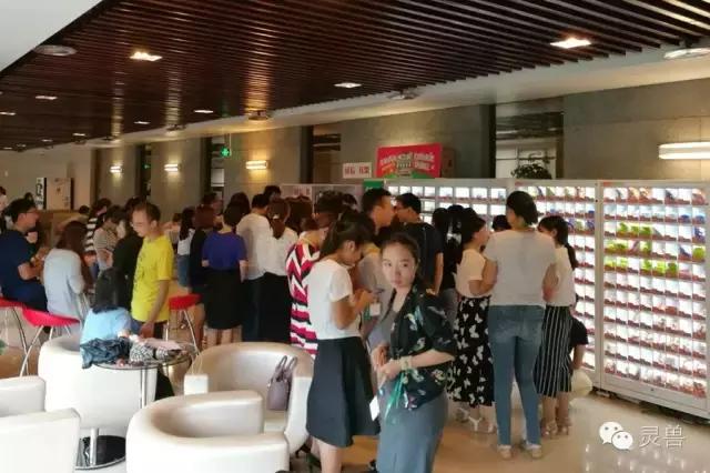 整合农产品供应链,果多美水果超市供应链