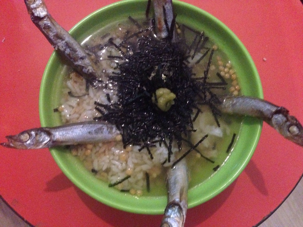 有一个会做饭室友是一种什么体验,自己租房子找个室友需要注意什么