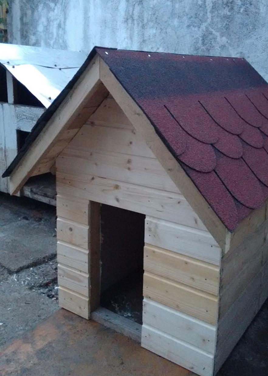 自建狗窝室外需要多少砖,自建砖头狗窝教程