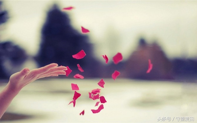 梦里花落知多少全文,梦里花落知多少