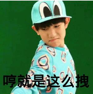 不剁手了，因为要去湛江吃美食了！不要拦我！