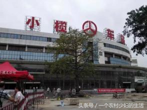 广东中山生活,中山生活记录