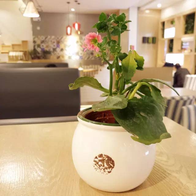 太阳新天地购物中心超市,太阳新天地美食城