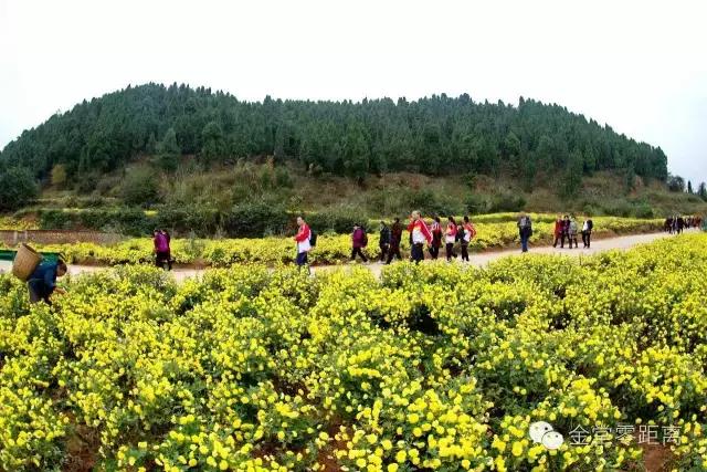 去金堂玉皇山养生谷耍一耍,金堂玉皇山一日游最佳路线