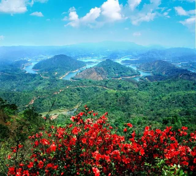 大亚湾滨海绿道最新视频,沿海绿道惠州