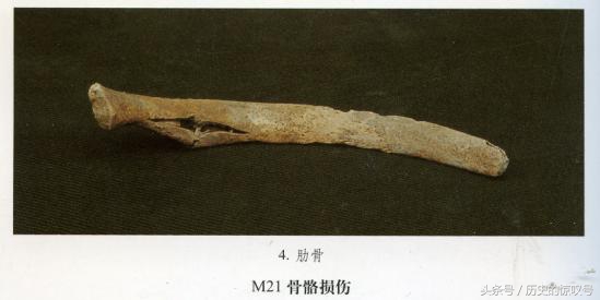 令考古学家都意想不到的发现,令人惊叹的考古发现