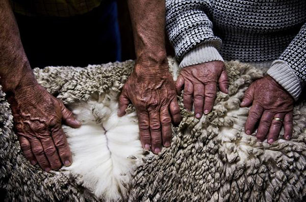 为什么美国的ugg便宜那么多,ugg为什么越来越潮