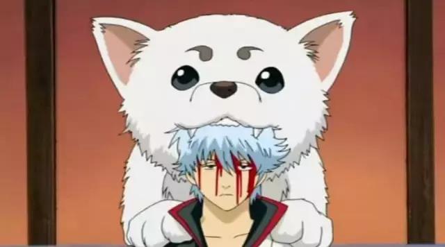 你被狗咬了还能再咬回去吗,被狗咬了怎么办教程