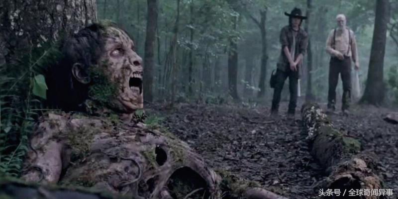 丧尸大电影都有哪些,关于丧尸的电影都有哪些