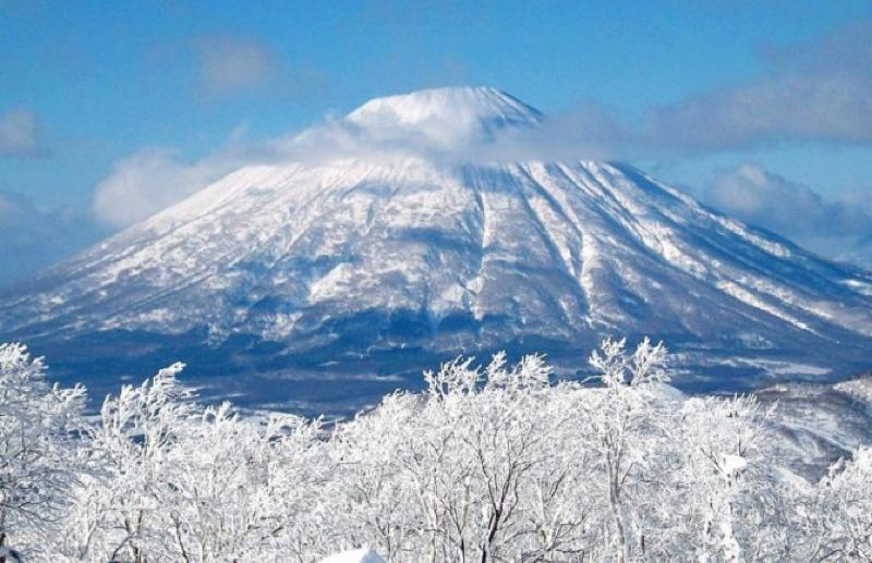 日本全日空飞机是什么型号,全日空航空日本飞墨西哥