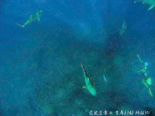 帕劳世界七大海底奇观,帕劳夕阳奇观图片