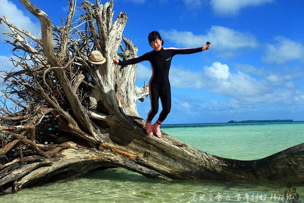 帕劳世界七大海底奇观,帕劳夕阳奇观图片