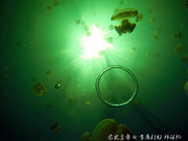 帕劳世界七大海底奇观,帕劳夕阳奇观图片