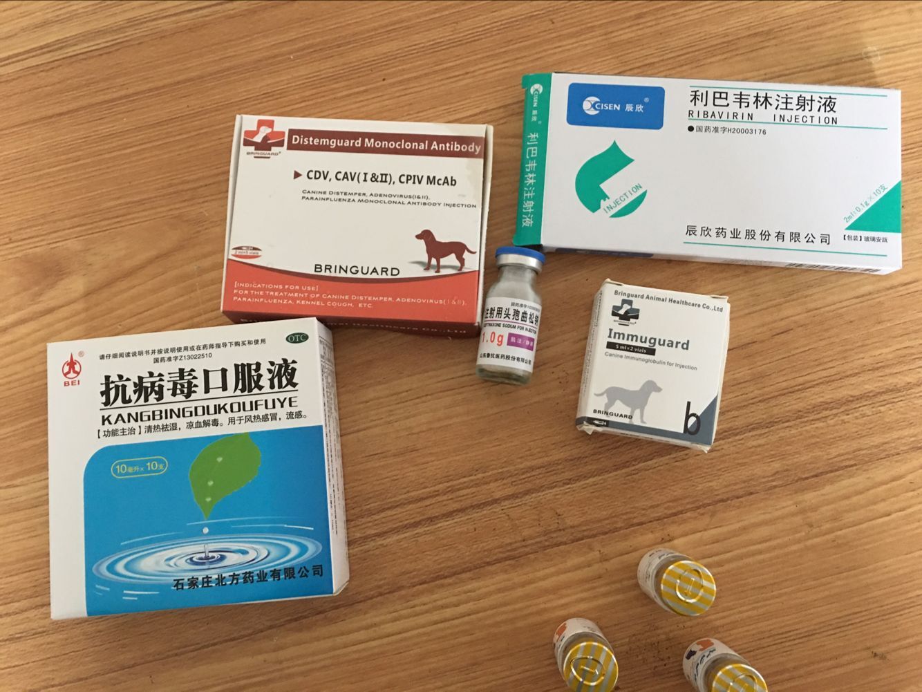 治疗犬瘟的药哪里可以买,犬瘟去药店买啥药