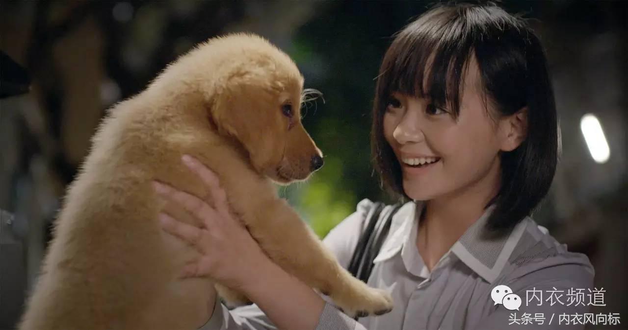 女人、睡衣与狗,芬腾用7分钟讲了一个“忠犬八公”的故事