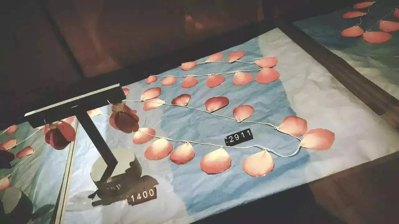 为了了解什么是好物,她3年时间把自己家所有家具摆设换了3遍