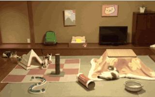 有了神奇的桌子，你和猫星人再也不怕冷了！