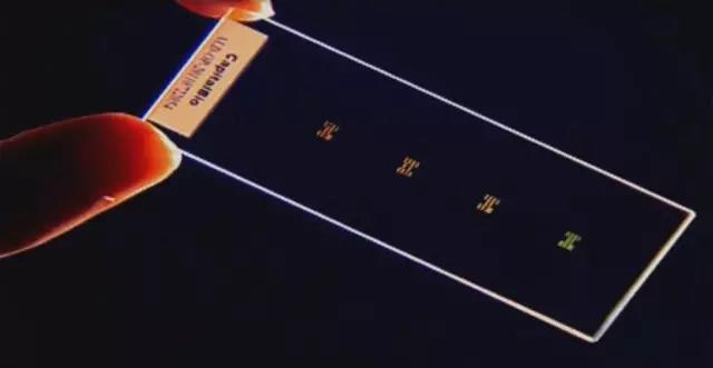 博奥生物耳聋基因筛查结果怎么看,博奥检验耳聋基因筛查费用