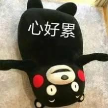 老陕看关中,老陕带你看神剧