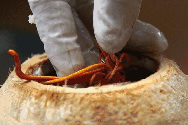 加点醋就能解决的事，就别再花钱了！