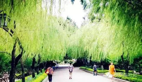 福州附近旅游全攻略,福州旅行攻略完整版