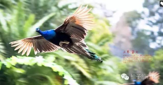 福州附近旅游全攻略,福州旅行攻略完整版