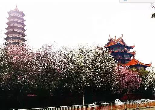 福州附近旅游全攻略,福州旅行攻略完整版