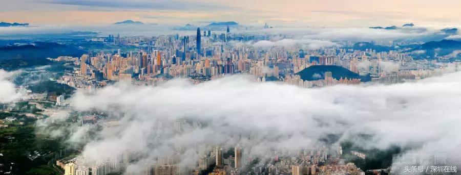 我叫深圳，这是我最新的名片，请多关照！