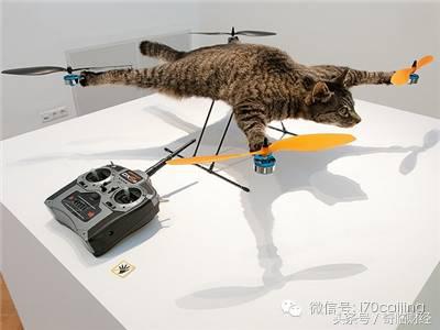 厉害了黑科技,厉害了word神技能