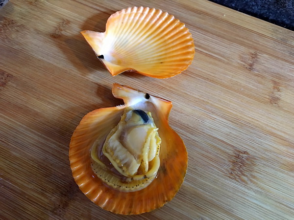 爱秀食堂-甘树子蒸石斑鱼奶香焗扇贝