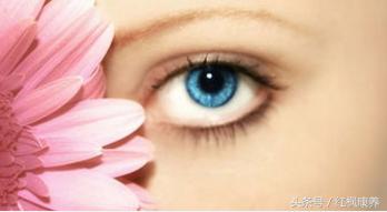 保护眼睛吃什么食物最好,保护宝宝眼睛的食物有哪些