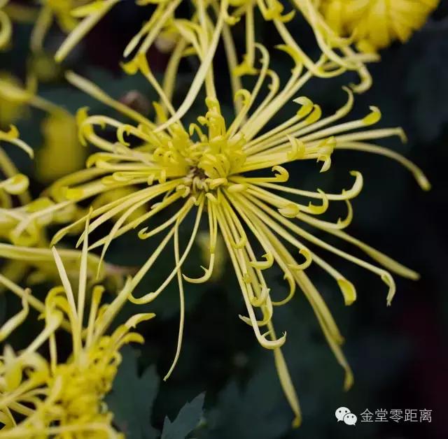 去金堂玉皇山养生谷耍一耍,金堂玉皇山一日游最佳路线