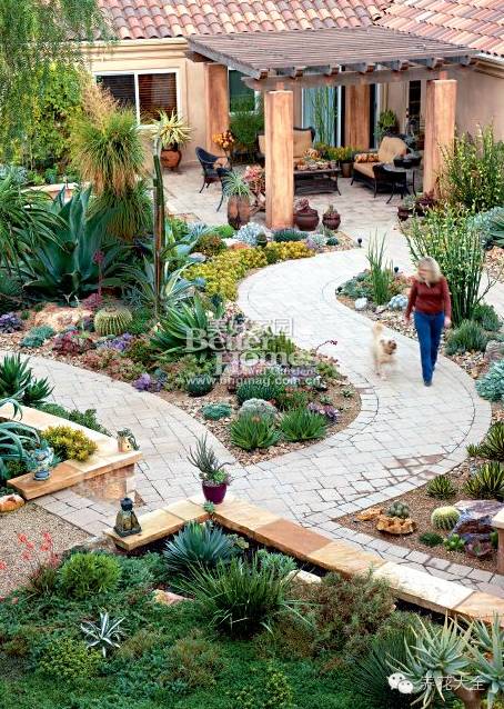 省下来的钱都用来种多肉了 (双十一福利多肉花盆)