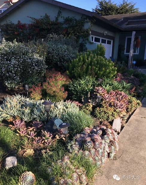 省下来的钱都用来种多肉了 (双十一福利多肉花盆)