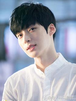 2016年11月上映电影排期,2016年11月份电视剧