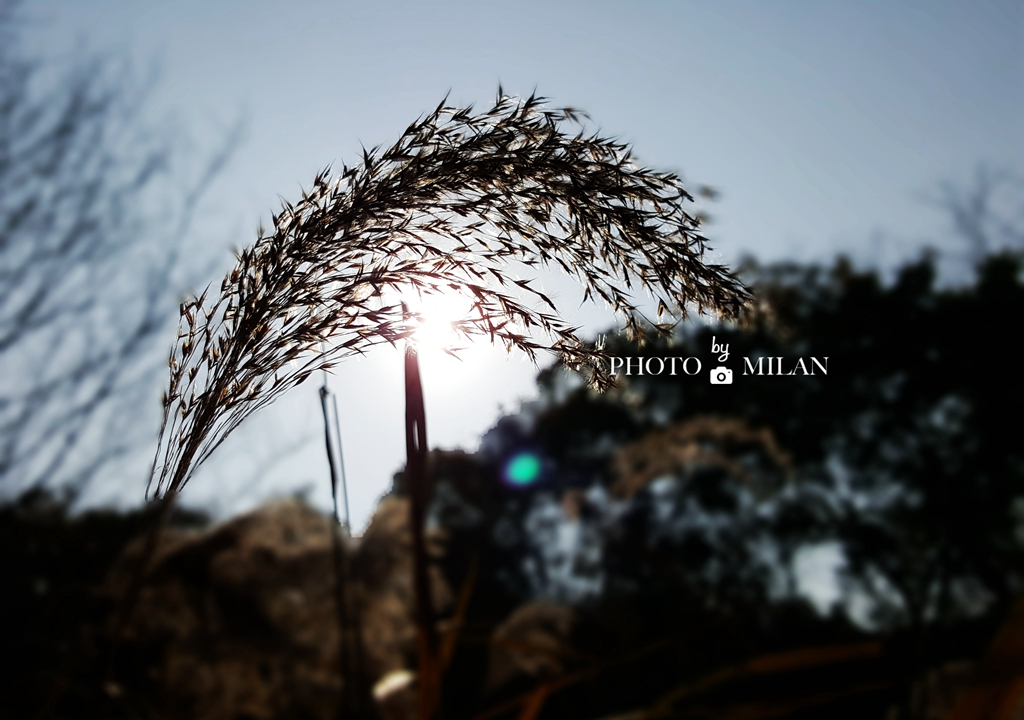 碧桂园十里金滩攻略,碧桂园十里金滩景点