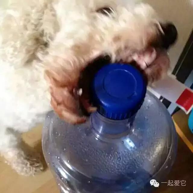 宠爱故事全集,宠爱讲故事