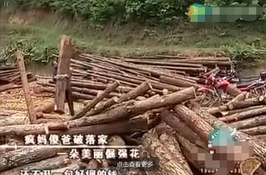 在破落家里,小海萱是朵美丽的坚强花