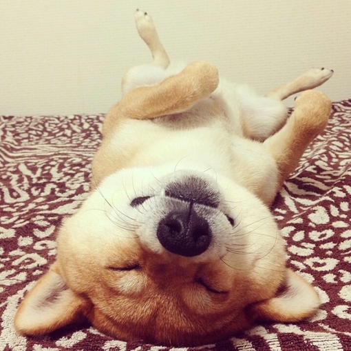 出国留学都需要通过哪些考试,收藏美国留学个人陈述指南