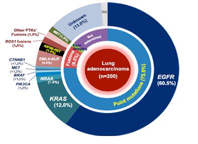 肺癌egfr基因突变用什么靶向药物,肺癌egfr突变最新靶向药