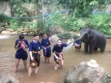 Word天！vipabc2016环球小姐中国区总决赛上演